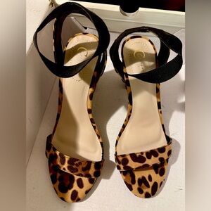 Cato Leopard Print Heels with Black Straps